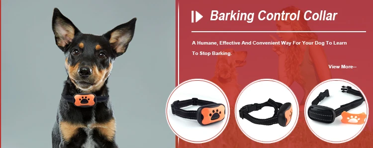 Stop Barking Collar For Hunting Dogs 