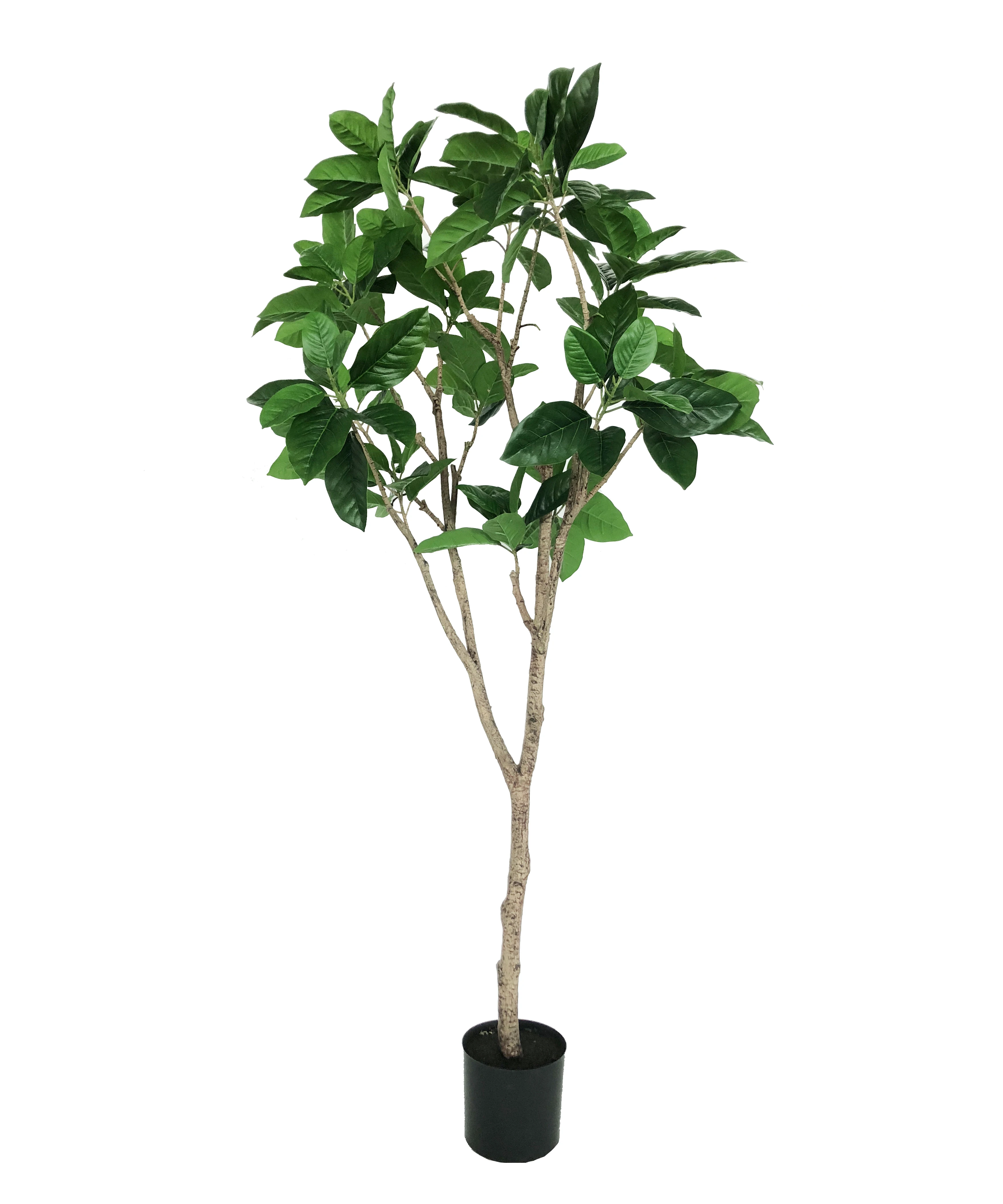 Wholesale Artificial Rubber Tree Plant For Outdoor And