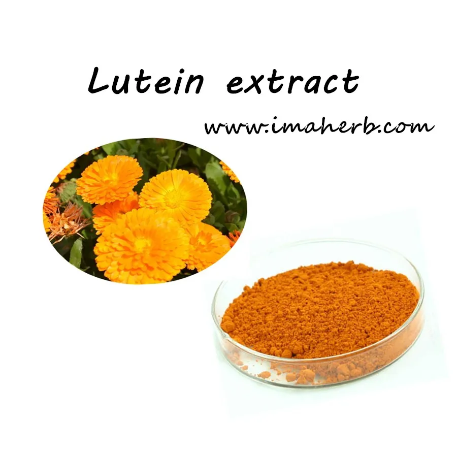 Food Color Plant Extract / Lutein Marigold Flower Extract Powder