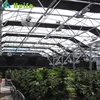 All Top Quality Multi Span Light Blackout Deprivation Greenhouse