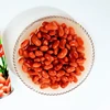 Chinese canned pinto beans with low price