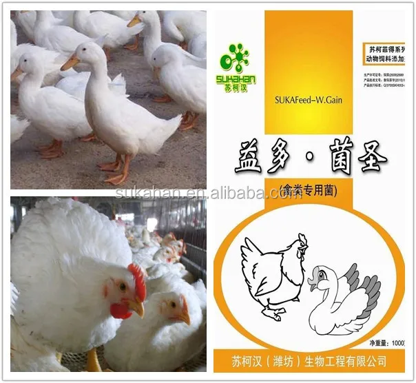 Alibaba Wholesale Feed Additive Poultry Probiotics.jpg