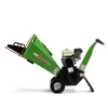 /product-detail/gs650-mini-6-5hp-gas-engine-rotor-type-garden-waste-chipper-shredder-60709095324.html