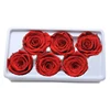 Wholesale A Grade 6 cm Pink Color Preserved Infinity Roses Flower Head From Yunnan FuncyFlora