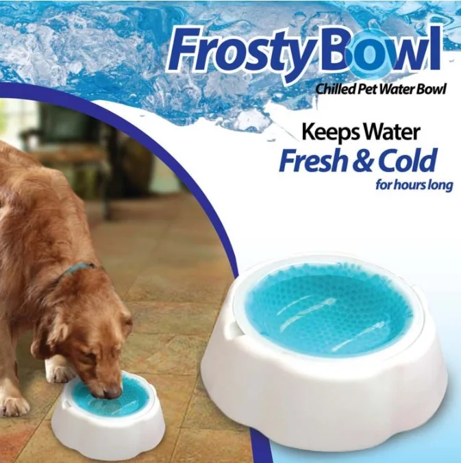 dog water bowl that keeps water cold