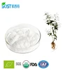 Top quality andrographis paniculata extract powder