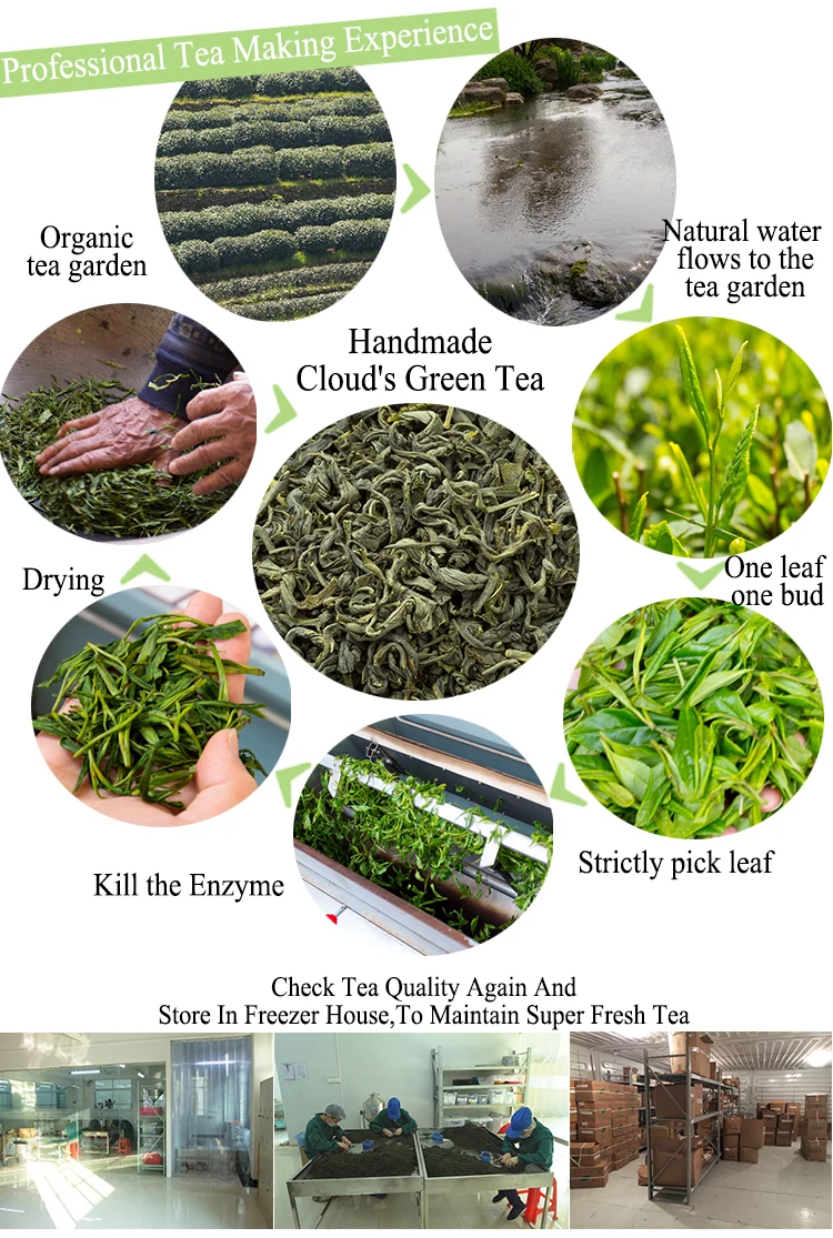 Best Flecha Quality Organic Japanese Chinese Yunwu ( Cloud Mist ) Slim Sencha Green Tea Leaves Brands Price Per KG - 4uTea | 4uTea.com