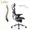 Comfortable Ergonomic Mesh Office Chair With Backrest Lumbar Support Computer Chair