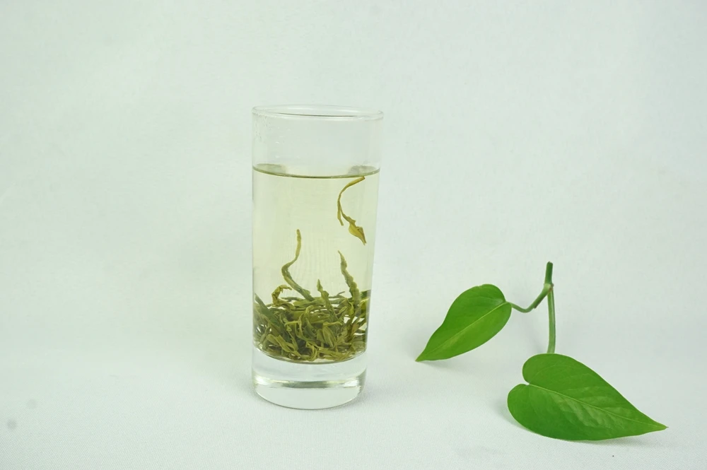 4A-2020 China New Organic Green Tea Healthy Maofeng Tea per kg price - 4uTea | 4uTea.com