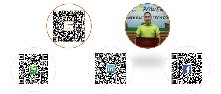 cspower Leo Sign3.png