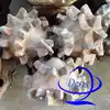 API tungsten carbide scrap bit /used tricone drilling bits/ scrap tricone drill bit