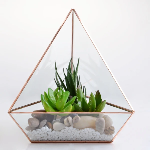 Build Your Own Unique Terrarium With This Small Terrarium Kit - Buy ...