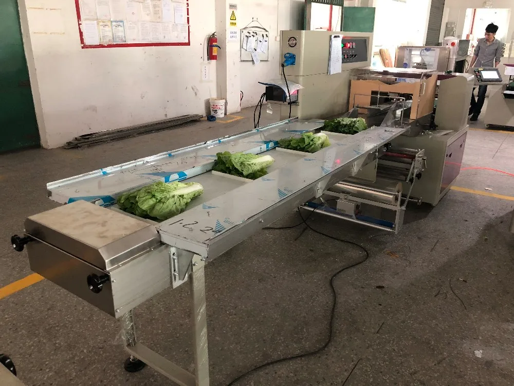 Automatic Fresh Vegetable Lettuce Packing Machine Price Buy Lettuce