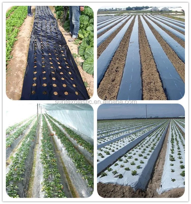 New Virgin Black Plastic Mulch Film/black Perforated Mulch Film Plastic