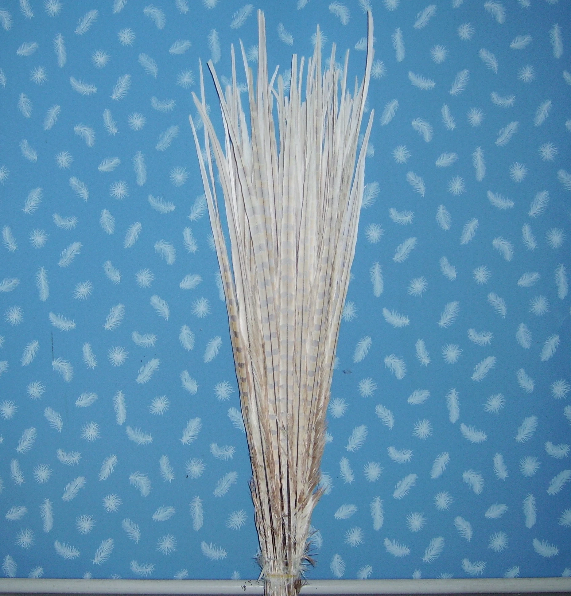 PICT0175.JPG