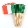 Promotional Toothpick Mini Cheapest Flag Green White Orange