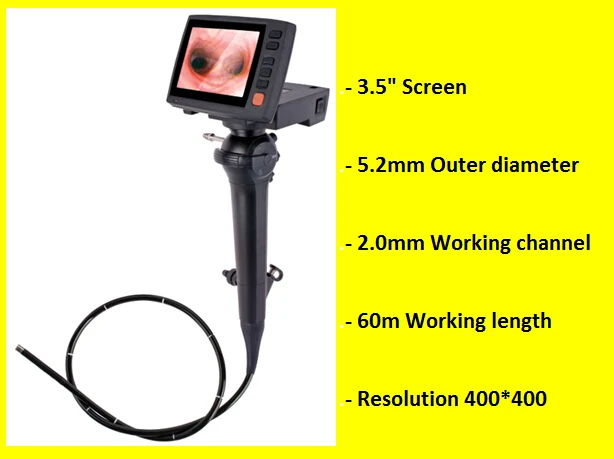 V41 endoscope.jpg
