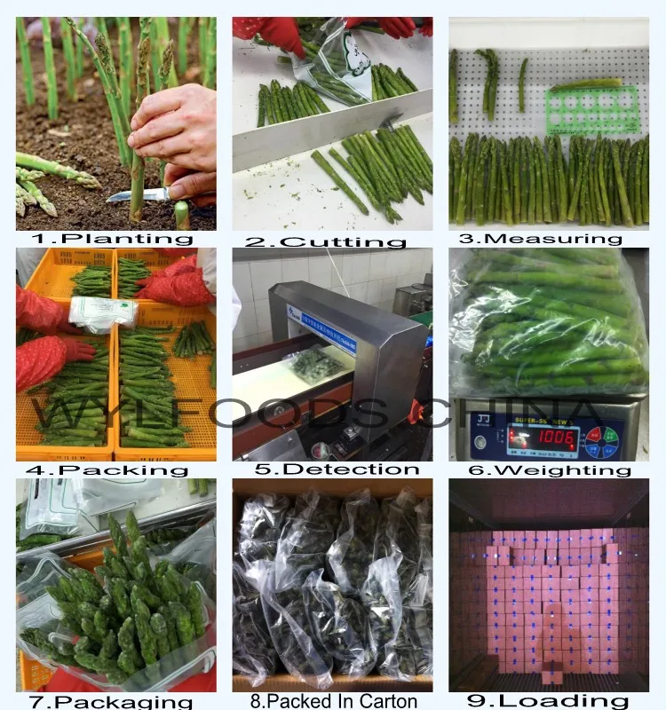 Producing Flow-Green Asparagus