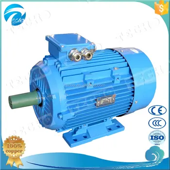 Squirrel Cage Ac Induction Motors