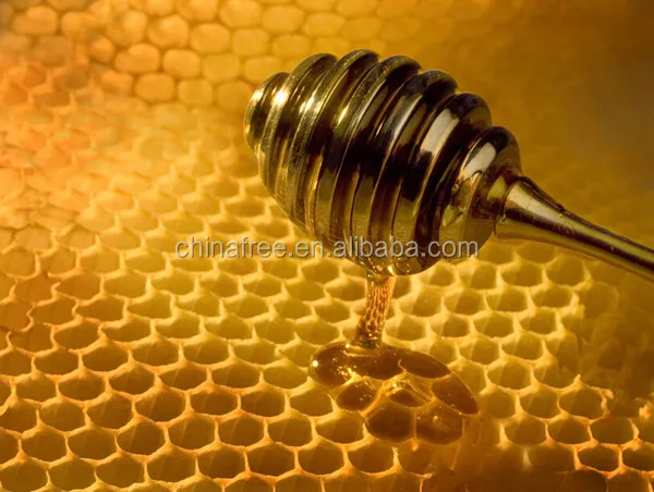 honey extractor (3).jpg