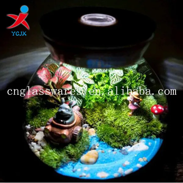 Clear Borosilicate Glass Jar Glass Terrariums With Colorful Light For