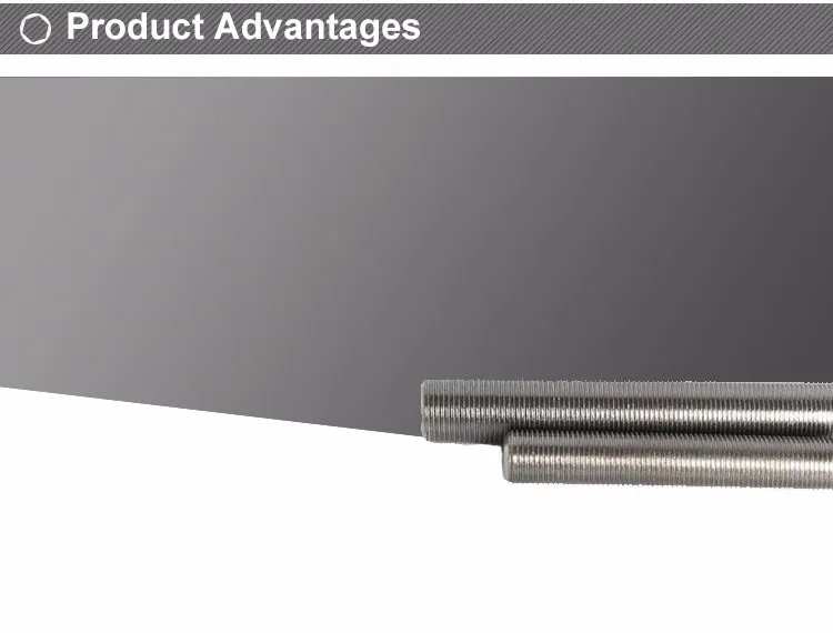 M10 Threaded Rod - 2 Meter (A4 Stainless