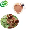 Free sample natural 4:1 Combretum micranthum extract
