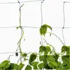factory price Christmas decoration net mesh wholesales