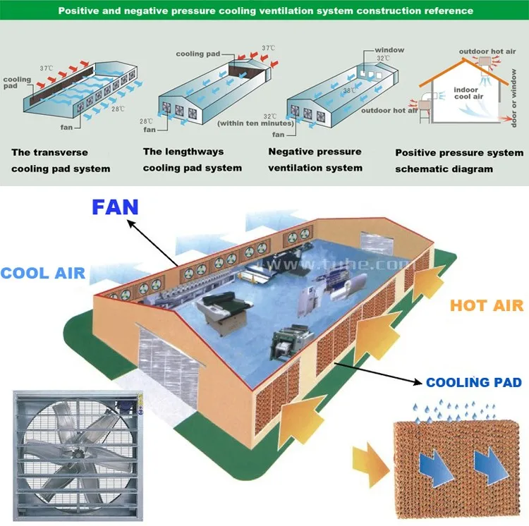 48'' Poultry House Ventilation Fan Chicken House Axial Flow Fan Buy