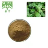 1% Beta Sitosterol Nettle P.E / Nettle Extract