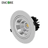 Factory Price LED Downlights Item Type and LED Light Source Downlight 110-230V