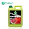 Hot Selling Taiwan Concentrated Pomegranate Juice Syrup