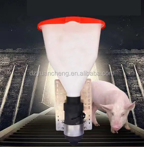 Sow Ad Lib Lactation Feeder For Pig Feeding System Buy Feeder