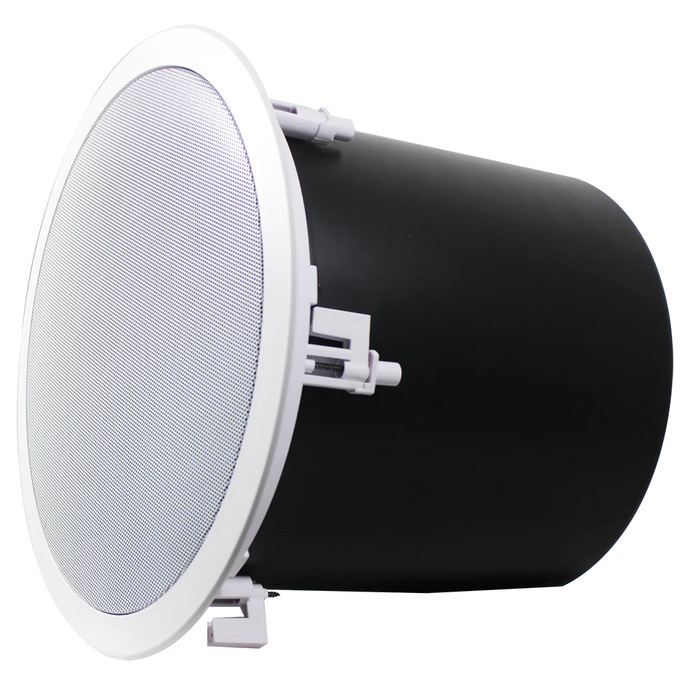 10 Inch Subwoofer Ceiling Sound System Speaker 240/120/60w With Metal