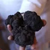 fresh black truffle mixed size