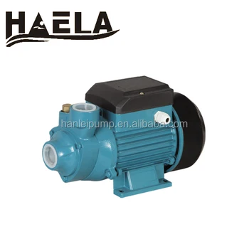 rotary water pump