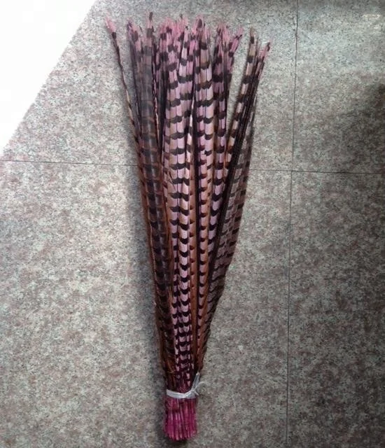 10 Pcs REEVES PHEASANT Natural Feathers 10-16/" Crafts//Halloween//Mardi Gras