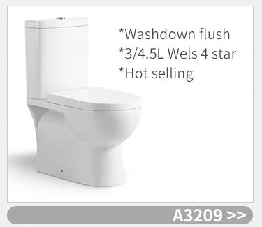 Bathroom watermark washdown wall hung wc toilet bowl