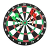 Double-sided Paper Dartboard with 4 Brass Darts Game Set