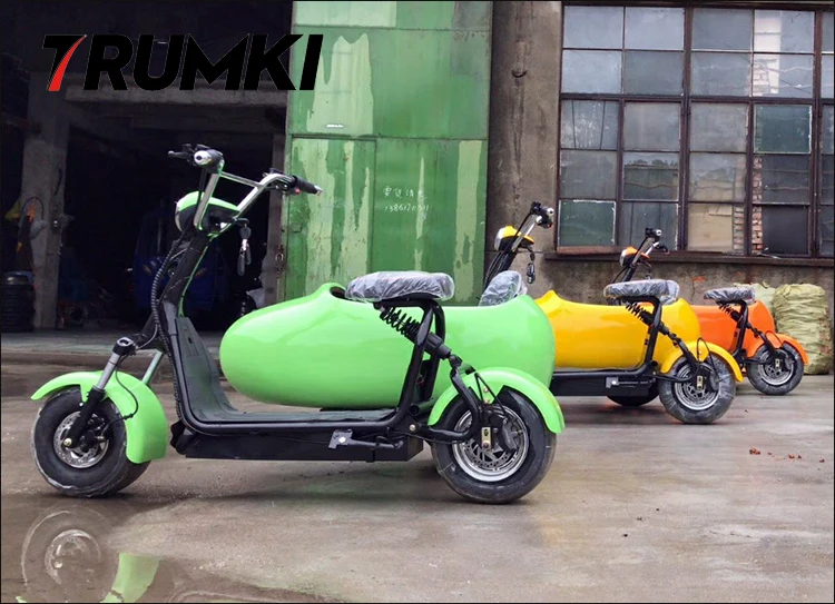 bicycle sidecar for sale