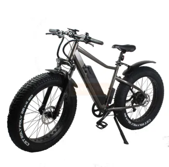 monster fat bike