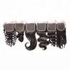 Real Mink Middle Part Deep Wave Tangle Free Sample Virgin Indian Hair Lace Closure