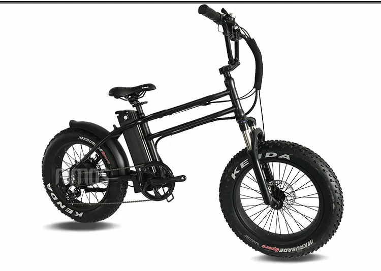 20inch Fat Tire 48v350w Dual Motor Electric Bike With Lcd Display - Buy ...