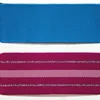Beautiful polyester woven webbing