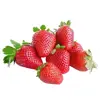 Wholesale Fruits IQF new fresh Frozen fresh Strawberry from China