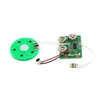 Small recording sound module programmable sound chip for greeting cards