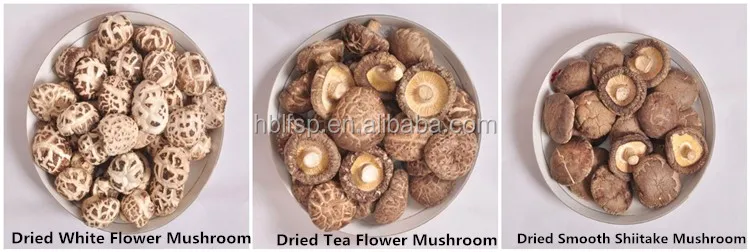 HOT SALES SERIES (2).jpg