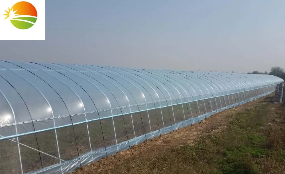Uv Coating Polycarbonate Greenhouse Buy 10mm Polycarbonate Greenhouse