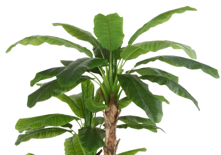 Factory Cheap Price Indoor Plastic Artificial Decorative Banana Tree ...