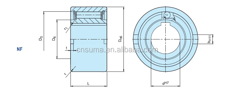 NF40 Freewheel Backstop Roller Clutch Bearing 110mm 100Nm for Textile Machinery with 7-10 Days Delivery